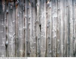 Bare Planks Wood