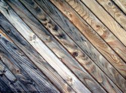 Various Planks Wood