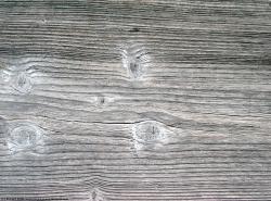 Photo Textures of Mixed Wood