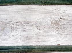 Photo Textures of Mixed Wood