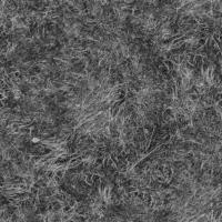 seamless grass dead normal mapping