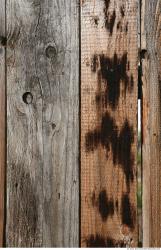 Photo Textures of Wood Planks Bare