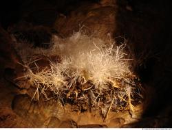 Photo Textures of Background Cave