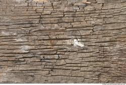 Photo Textures of Wood Bare