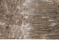 Photo Textures of Wood Bare