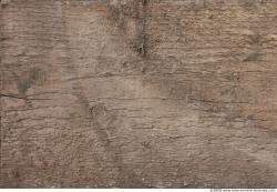 Photo Textures of Wood Bare