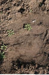 Photo texture of Soil