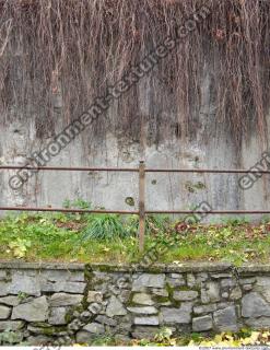 Walls Hedge 0056