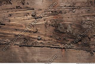 Wood 0017