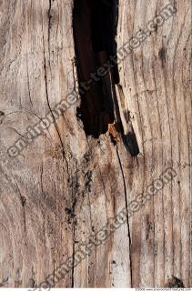 Wood 0003