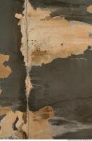 Walls Plaster 0022