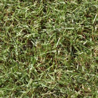 Seamless Grass 0014