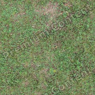 Seamless Grass 0008