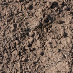 Photo Textures of Seamless Soil