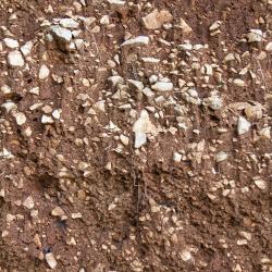 Photo Textures of Seamless Soil