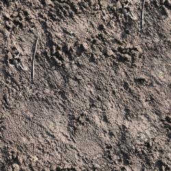 Photo Textures of Seamless Soil