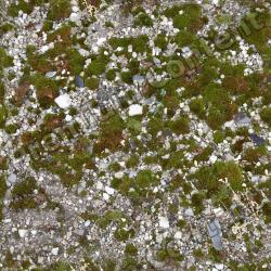 Photo Textures of Seamless Soil