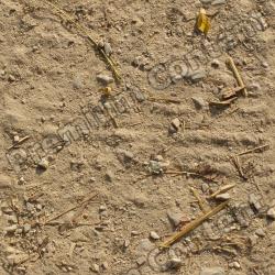 Photo Textures of Seamless Soil