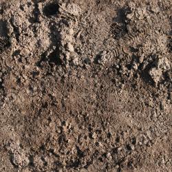 Photo Textures of Seamless Soil