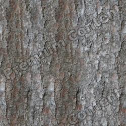 Seamless Bark