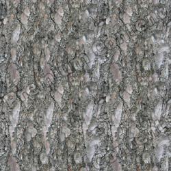 Seamless Bark