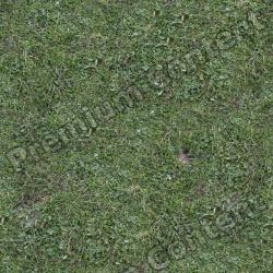 Seamless Grass