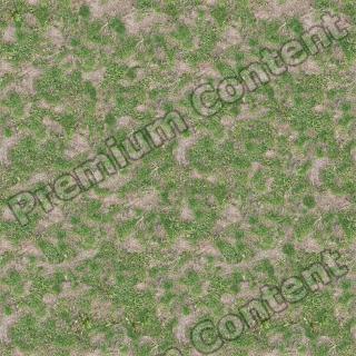 Seamless Grass 0001