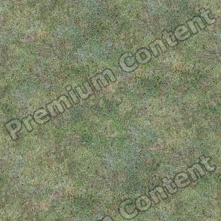 Seamless Grass 0001