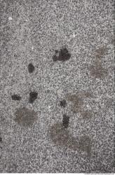 Ground Asphalt