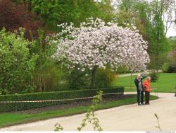 Background Gardens