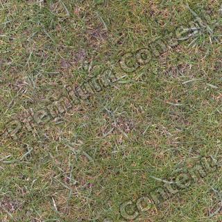 Seamless Grass 0001