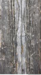 Photo Textures of Wood Bare