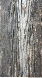 Photo Textures of Wood Bare