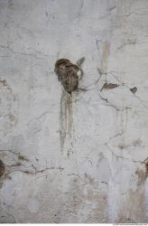 Walls Plaster Damaged