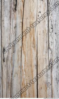 Wood 0031