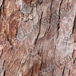 Seamless Tree Bark