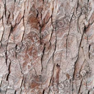 Seamless Bark 0001