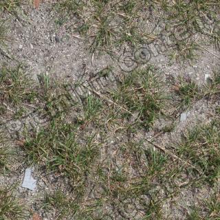 Seamless Grass 0001