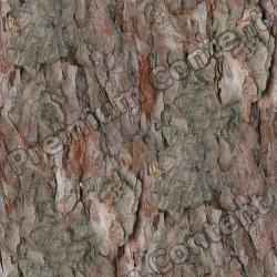 Seamless Bark