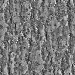 Seamless Bark