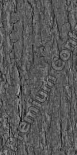 Seamless Bark 0002