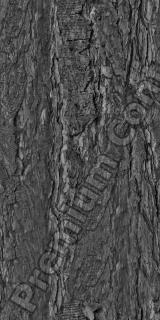 Seamless Bark 0002