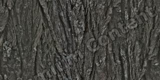 Seamless Bark 0001