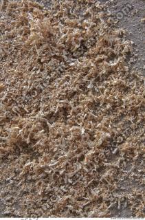 wood chips texture