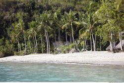 Photo reference of Background Beach