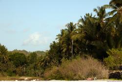 Photo reference of Background Beach