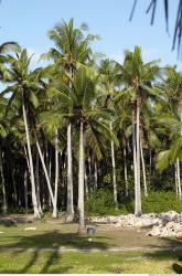 Photo reference of Background Beach