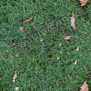 Seamless Grass 0001