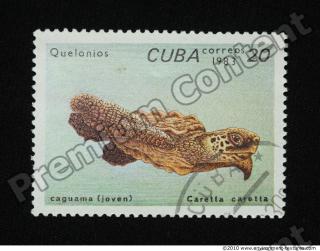 Photo Texture of Postage Stamp