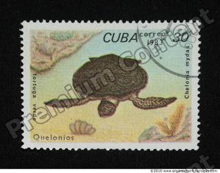 Photo Texture of Postage Stamp